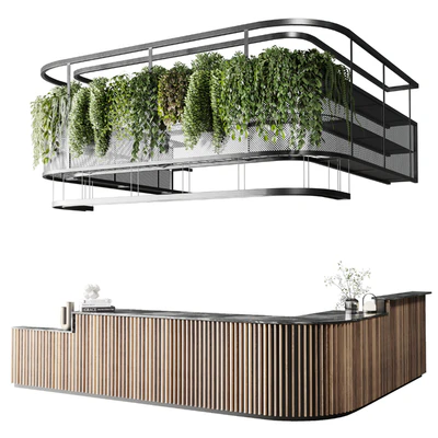 Coffee shop reception, Restaurant counter by hanging plant - 03 — View 1