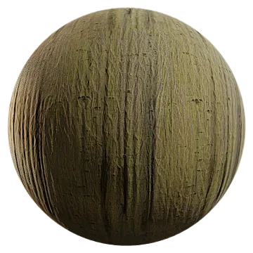 hornbeam bark 004 — Descargar