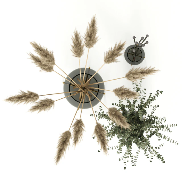Plants in Echasse Vases — Descargar