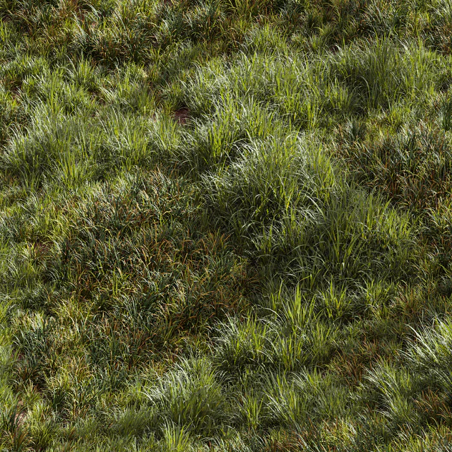 Meadow Lawn Grassland Set 002 — Descargar