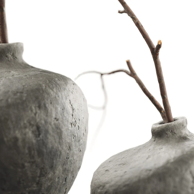 Branches in vases — Descargar