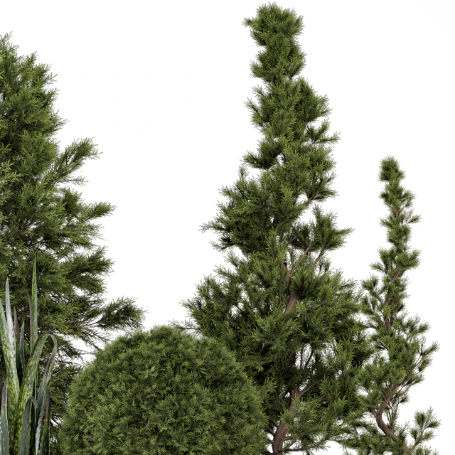 Indoor Plants in Ferm Living Bau Pot Large - Set 364 — Скачать