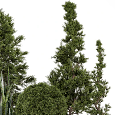 Indoor Plants in Ferm Living Bau Pot Large - Set 364 — Вид 7