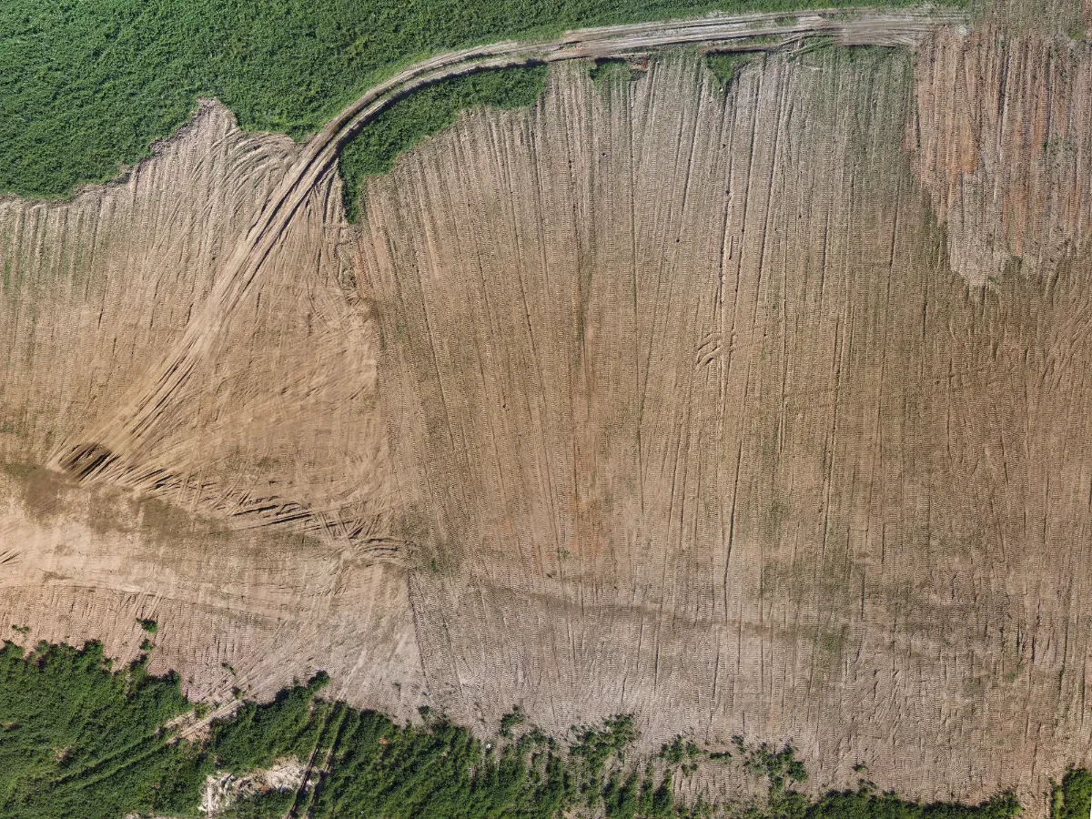 field summer 010 — Скачать