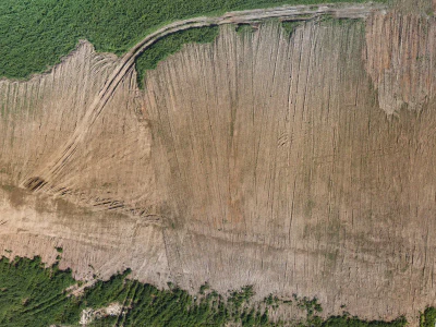 field summer 010 — Скачать