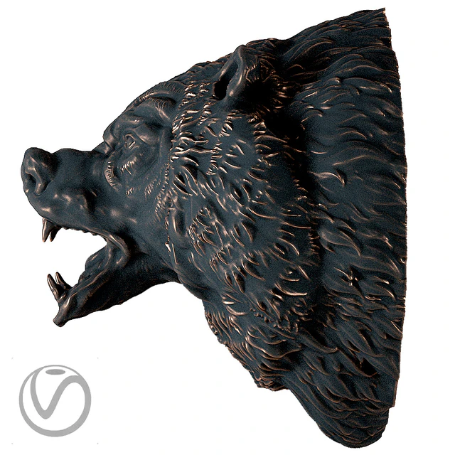 The head of a bear — Descargar