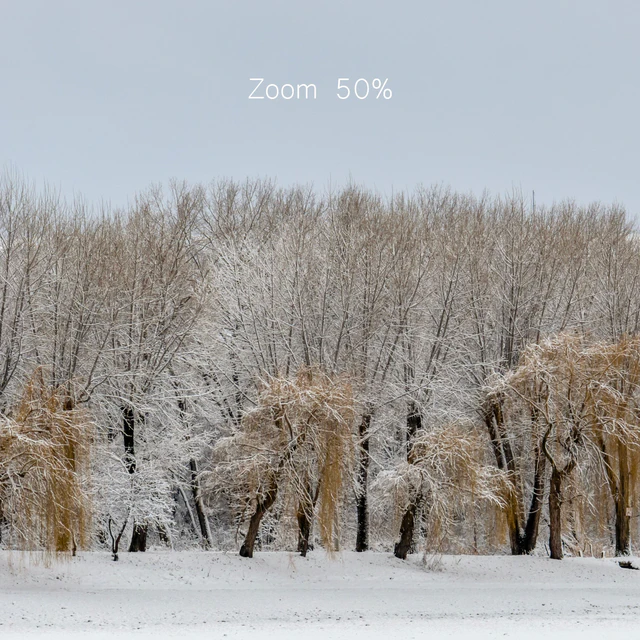 Panorama of the park with a lake and snow-covered trees. 45k — Download