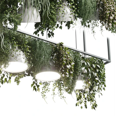 pot light pendant - plant light hanging 08 — Вид 5