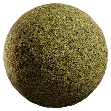 uncut grass 019 — Descargar