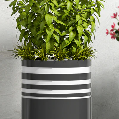 PLANT -52 — Ver 3