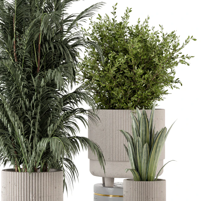 Indoor Plants in Standing Legs Small Bowl Concrete Pot - Set 788 — Descargar