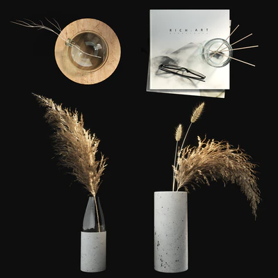 Decorative set with dry plants 01 — Ver 2