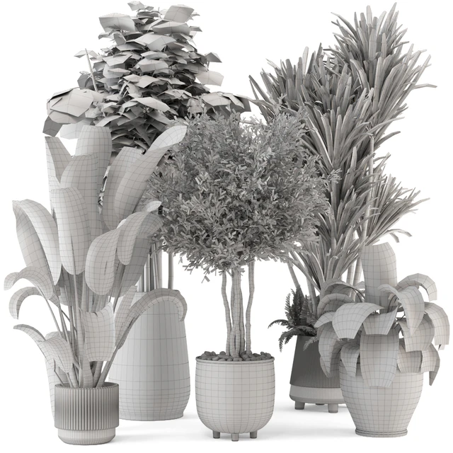 Indoor Plants in Ferm Living Bau Pot Large - Set 1325 — Descargar