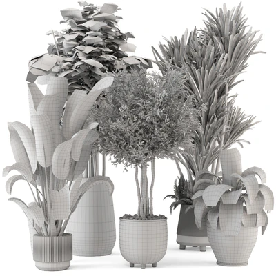 Indoor Plants in Ferm Living Bau Pot Large - Set 1325 — Ver 6