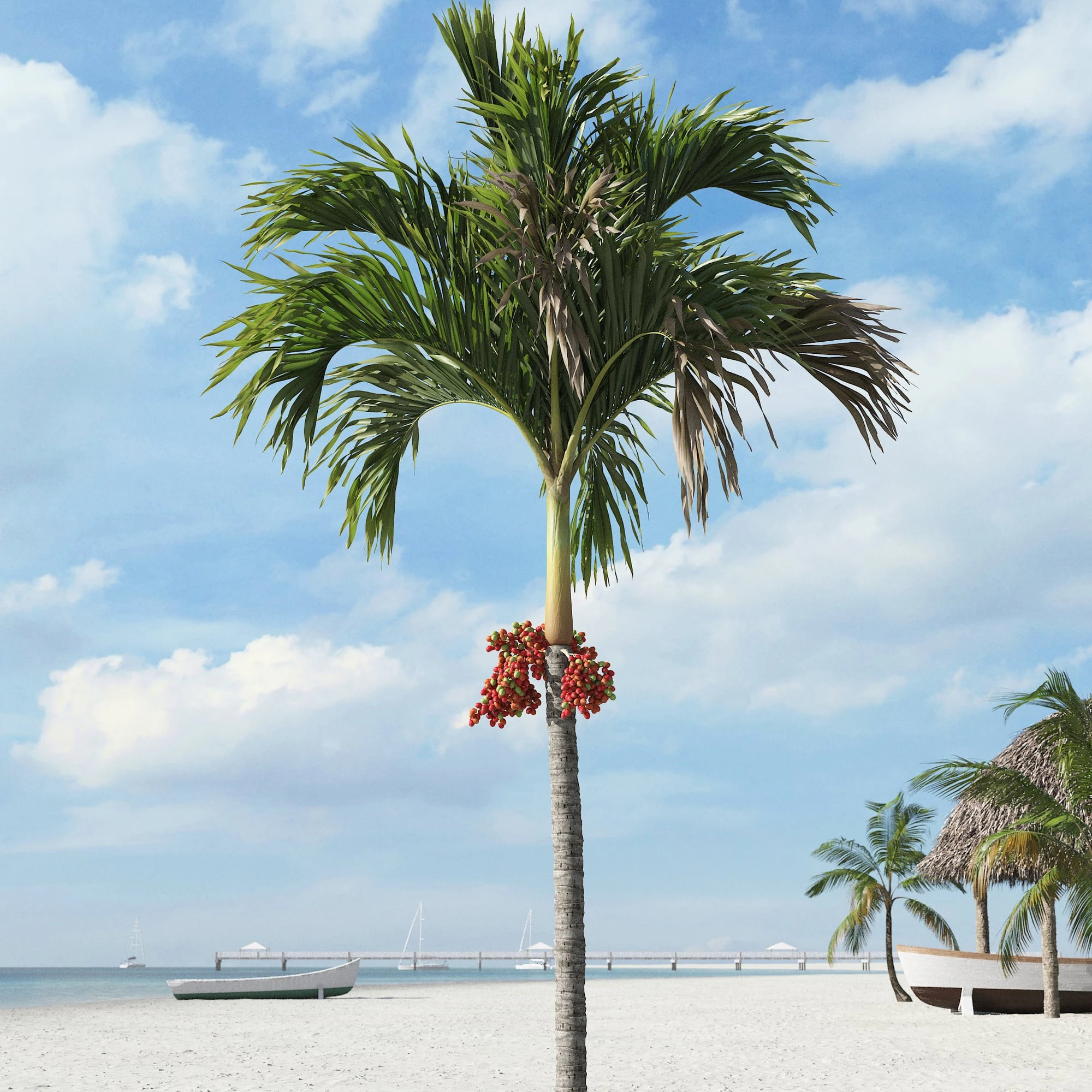 palm trees 004 — Descargar