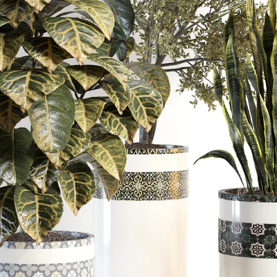 indoor plant 02 — Вид 5