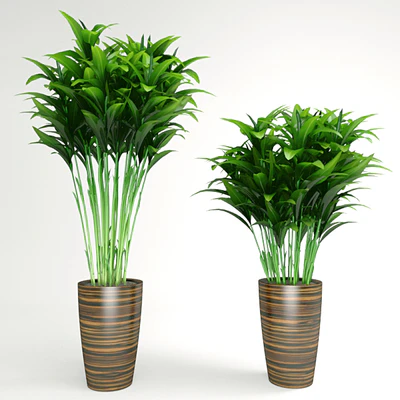 plant — Скачать