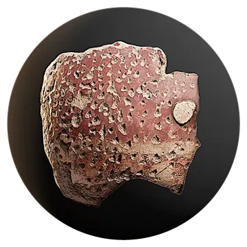 roman fresco plaster 005 — Descargar