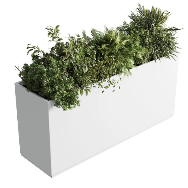 plastic box plants on stand - set indoor plant 389 — Скачать