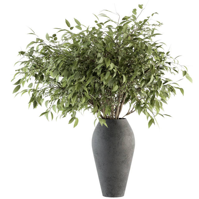 Bouquet - Green Branch in vase 45 — Descargar