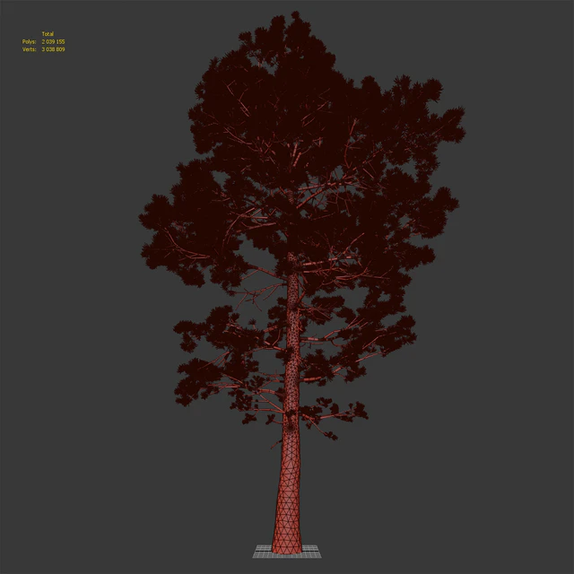 Сосна | Pinus #002 (16.5m) — Скачать