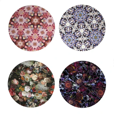 Carpets moooi — Скачать