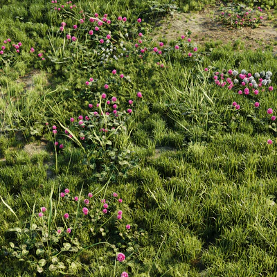 Meadow grass — Ver 5