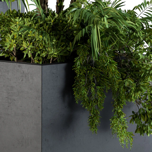 Plant box metal compact04 — Descargar