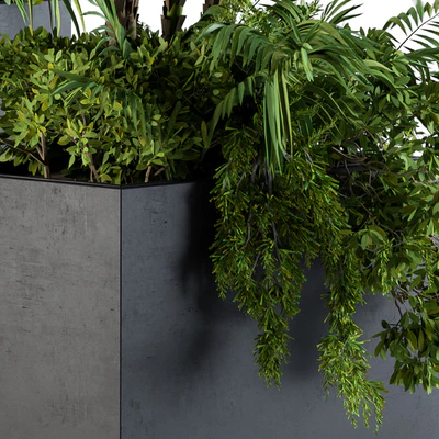Plant box metal compact04 — Ver 4