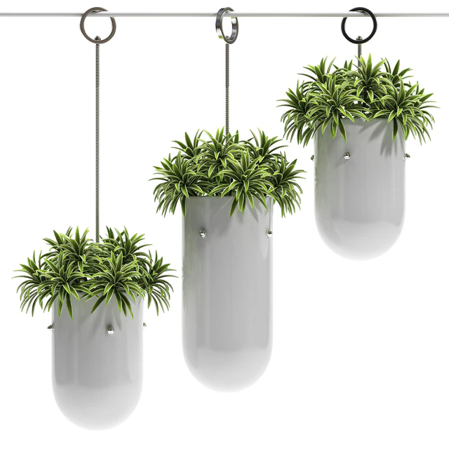 HANGING VASE 3 — Descargar