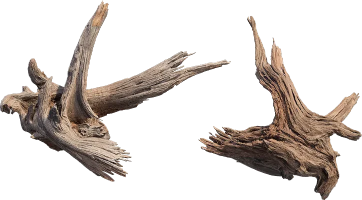 desert western tree log dead small 001 — Descargar