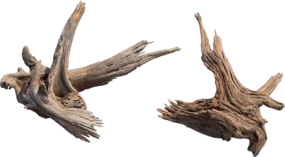 desert western tree log dead small 001 — Descargar