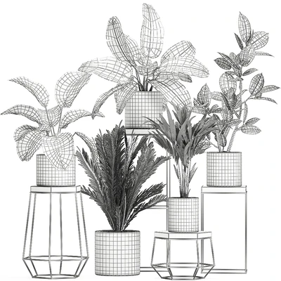 Коллекция маленьких растений на цветочной подставке в горшках с Пальма, фикус, стрелиция, полка с цветами. Набор 702 — Вид 4