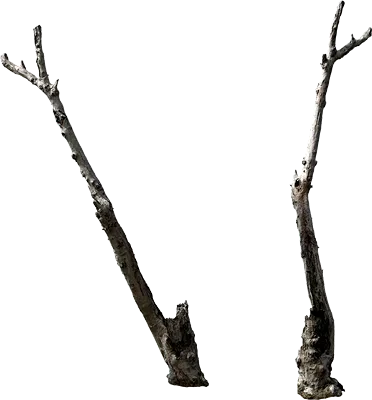 dead tree 003 — Descargar