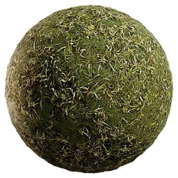 grass and leaves 013 — Descargar