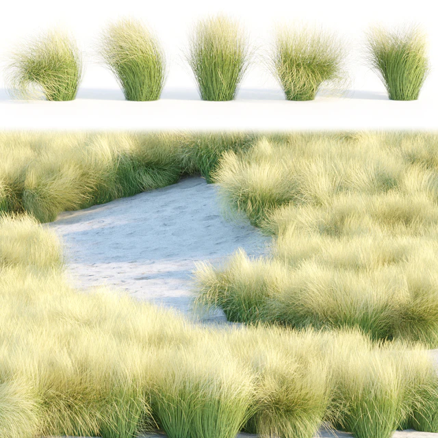 Maram Grass collection vol 155 — Descargar