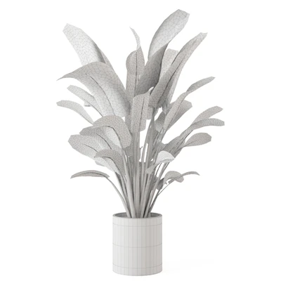 Indoor Plants Collection - Set 009 — Вид 5