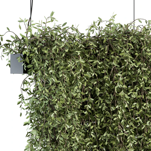indoor Plant Set 287 - Hanging Plants — Descargar