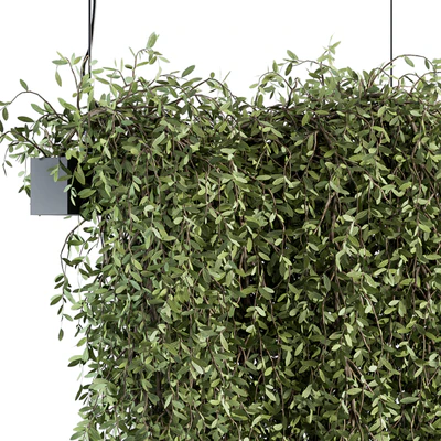 indoor Plant Set 287 - Hanging Plants — Ver 4