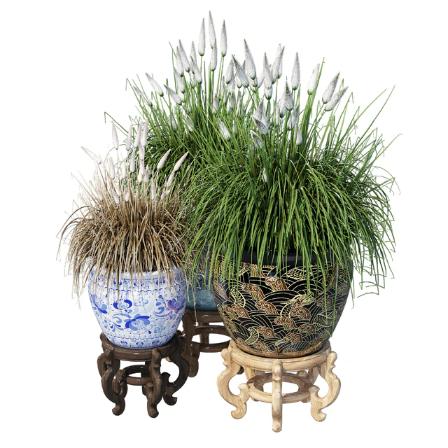 Porcelain grass — Descargar