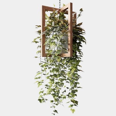 Ampelous plants in wooden figured hanging pots — Ver 6