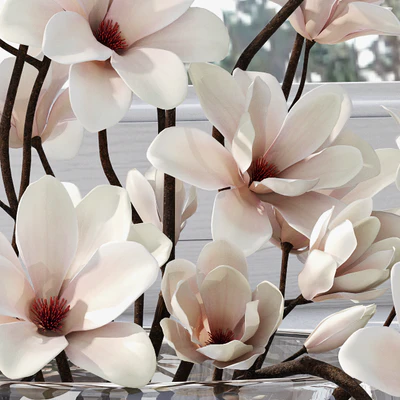 Magnolia 3 — Вид 2