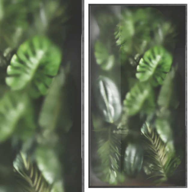 light box with tropical leaf garden in frame glass Smoked 01 — Descargar