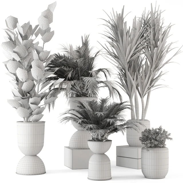 Indoor Plants in Ferm Living Bau Pot Large - Set 226 — Скачать