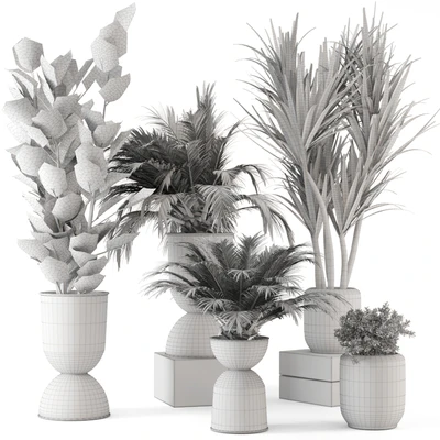 Indoor Plants in Ferm Living Bau Pot Large - Set 226 — Вид 5