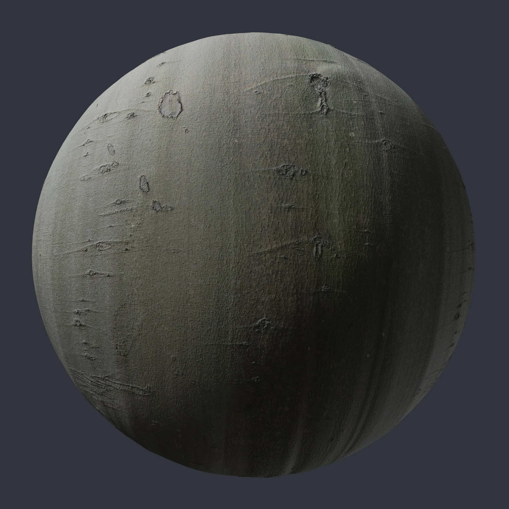 beech bark 003 — Descargar