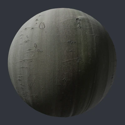 beech bark 003 — Descargar
