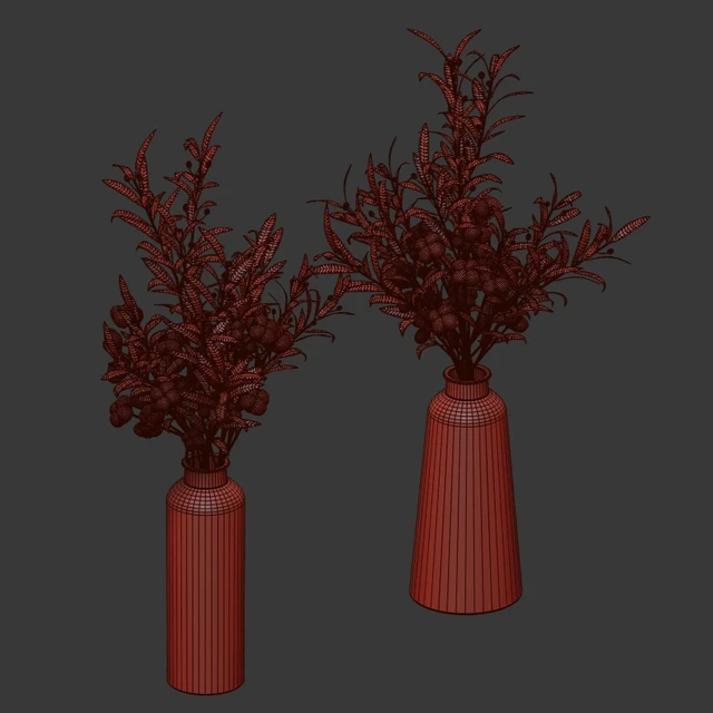 Bouquets of olives and cotton. — Descargar