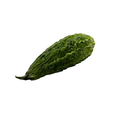 bitter gourd 001 — Descargar