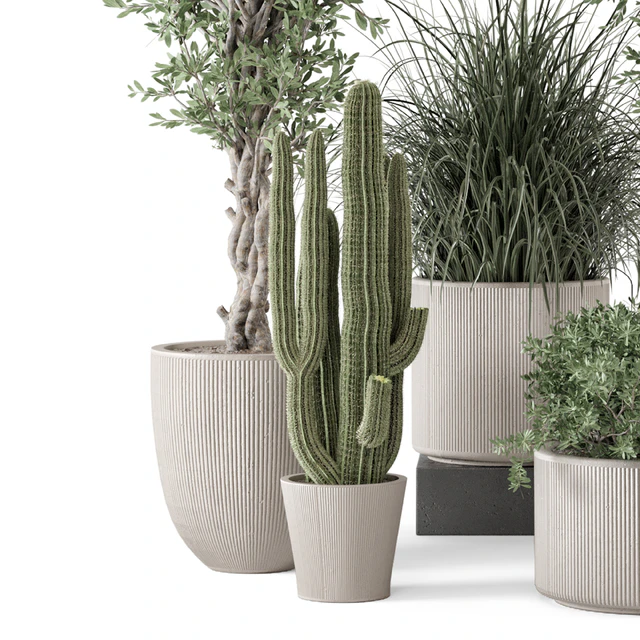 Indoor Plants  in rusty Concrete Pot - Set 1911 — Скачать